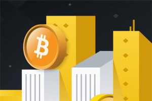 比特币交易网的币在哪里找回，找回比特币交易网丢失币的步骤