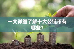一文详细了解十大公链币有哪些？