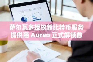 萨尔瓦多授权新比特币服务提供商 Aureo 正式解锁数字资产潜力