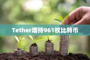 Tether增持961枚比特币