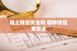 链上钱包安全吗 哪种钱包更安全