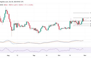 BCH vs BTC比特币现金与比特币，一场技术革新与市场影响力的较量