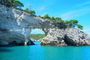 imTokn是以太坊钱包吗中心化钱包吗？