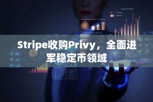 Stripe收购Privy，全面进军稳定币领域