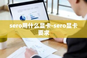 sero用什么显卡-sero显卡要求