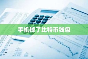 手机掉了比特币钱包