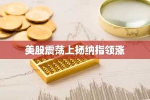 美股震荡上扬纳指领涨