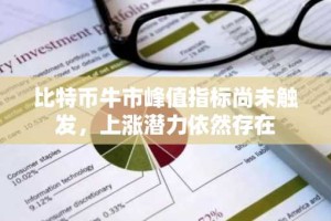比特币牛市峰值指标尚未触发，上涨潜力依然存在