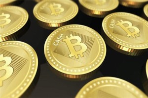 什么是比特币蓝盾商家，比特币蓝盾商家优势与特点