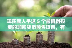 现在就入手这 5 个最值得投资的加密货币预售项目，有望获得 100 倍收益——以下是加密货币巨鲸们争相涌入这些热门币种的原因