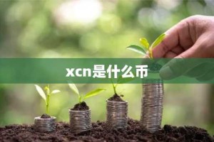 xcn是什么币