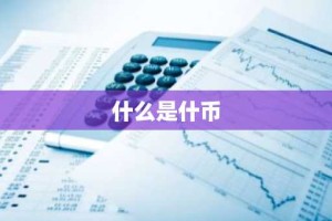什么是什币