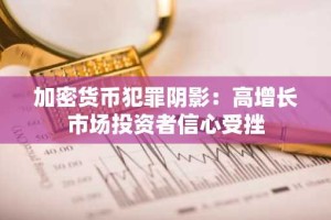 加密货币犯罪阴影：高增长市场投资者信心受挫