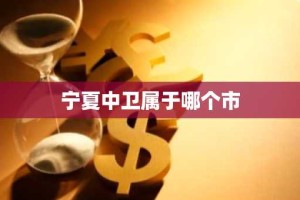 宁夏中卫属于哪个市