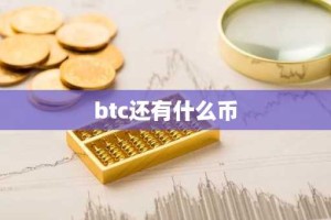 btc还有什么币