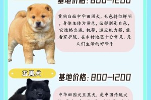 狗价格查询：狗价格表