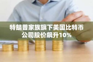 特朗普家族旗下美国比特币公司股价飙升10%