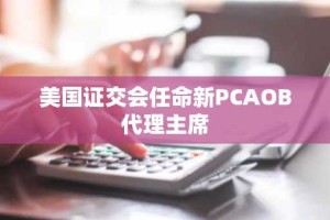 美国证交会任命新PCAOB代理主席