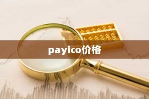 payico价格