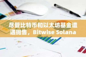 尽管比特币和以太坊基金遭遇抛售，Bitwise Solana ETF需求依然强劲