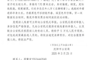 悬赏币价格：悬赏币怎么得