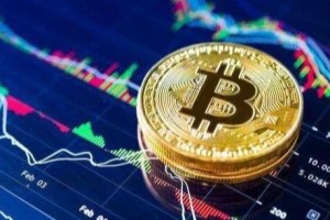 艾达币币圈都在用客户端十大盘点 艾达币客户端适合新手大全