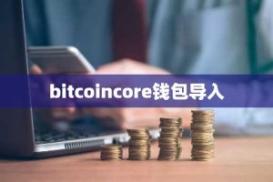 bitcoincore钱包导入