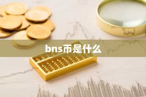 bns币是什么