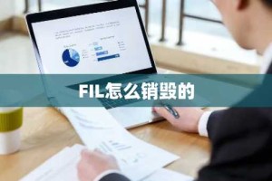 FIL怎么销毁的