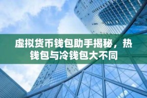 虚拟货币钱包助手揭秘，热钱包与冷钱包大不同