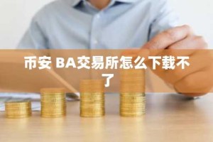 币安 BA交易所怎么下载不了