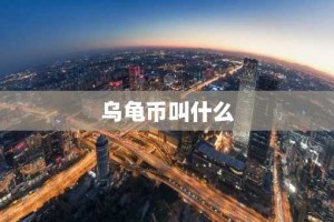 乌龟币叫什么