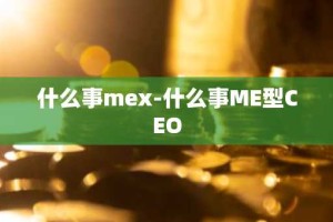 什么事mex-什么事ME型CEO