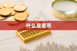 什么是素币