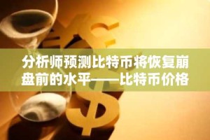 分析师预测比特币将恢复崩盘前的水平——比特币价格飙升至 2500 万美元以上