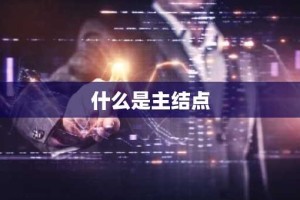 什么是主结点