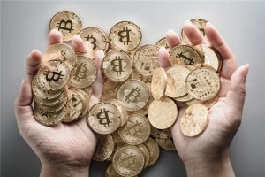 pi币最新消息官网，Pi币最新动态发布解读
