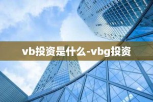 vb投资是什么-vbg投资