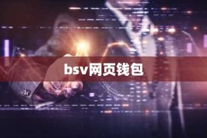 bsv网页钱包