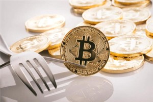 比特币是什么数据，数字货币的基本概念与特性