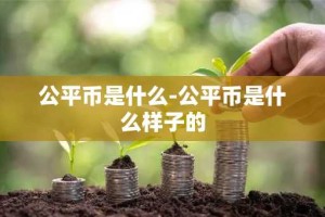 公平币是什么-公平币是什么样子的