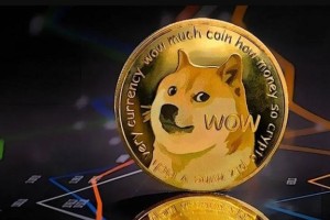 狗狗币价格2016：狗狗币价格2021年