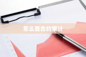 怎么查合约审计