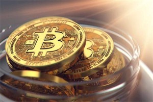 狗狗币手机钱包下载，安全便捷管理你的狗狗币资产