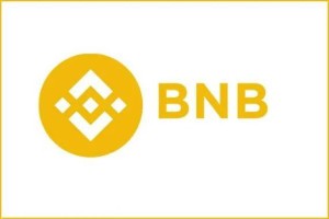 ans币是什么公司的
