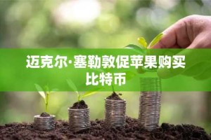 迈克尔·塞勒敦促苹果购买比特币