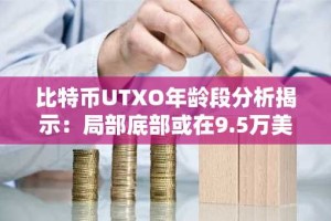 比特币UTXO年龄段分析揭示：局部底部或在9.5万美元附近
