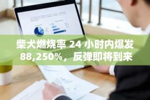 柴犬燃烧率 24 小时内爆发 88,250%，反弹即将到来？
