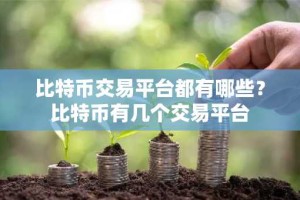 比特币交易平台都有哪些？比特币有几个交易平台
