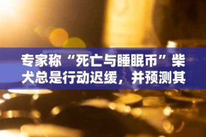 专家称“死亡与睡眠币”柴犬总是行动迟缓，并预测其价格